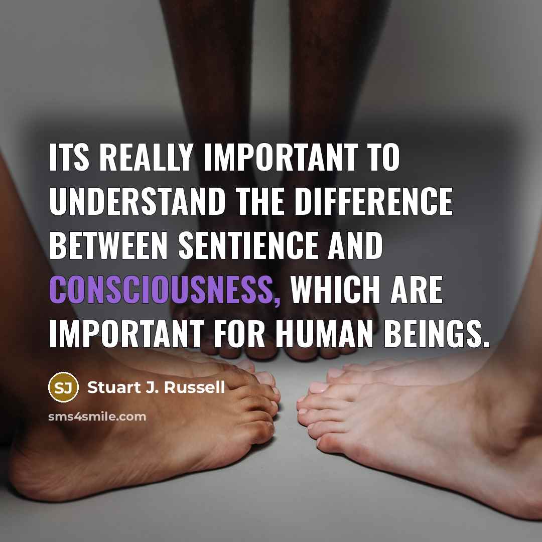 “Its really important to understand the difference between sentience and consciousness, which are important for human beings.” quote by Stuart J. Russell