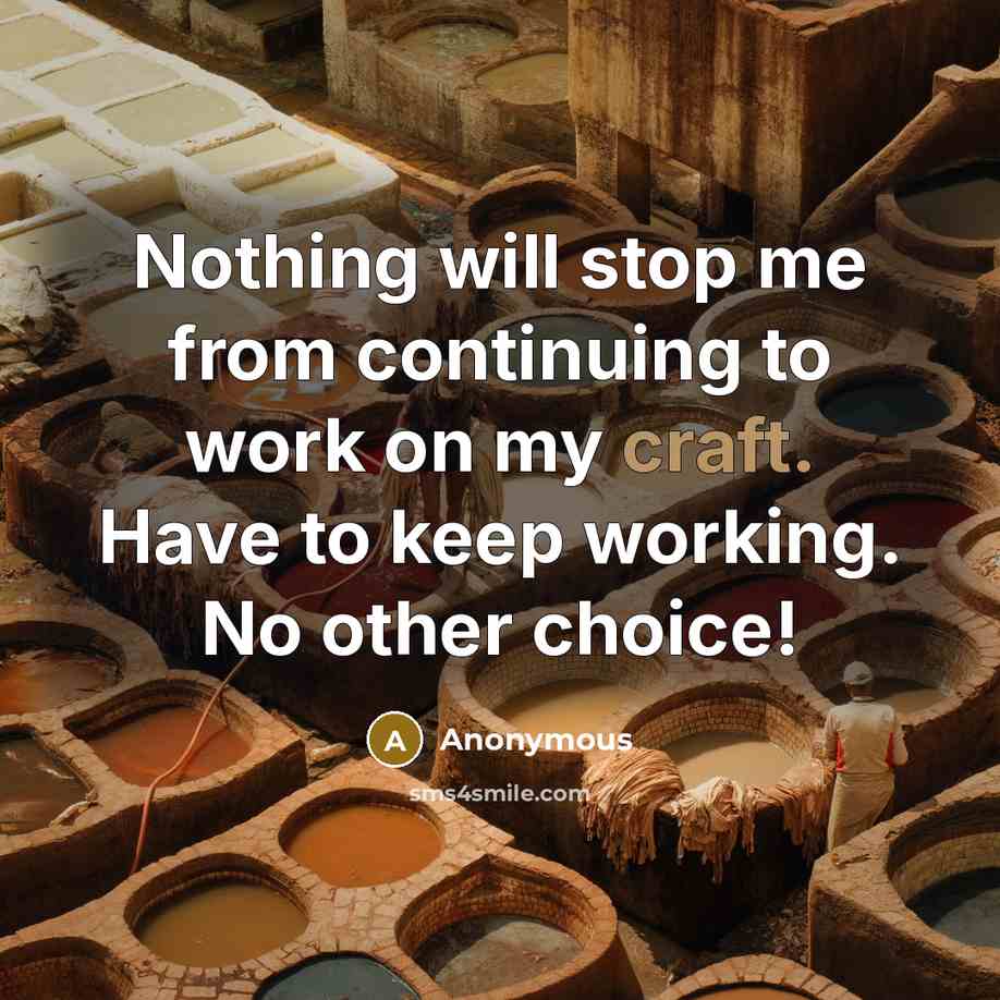 “Nothing will stop me from continuing to work on my craft. Have to keep working. No other choice!” quote by Anonymous