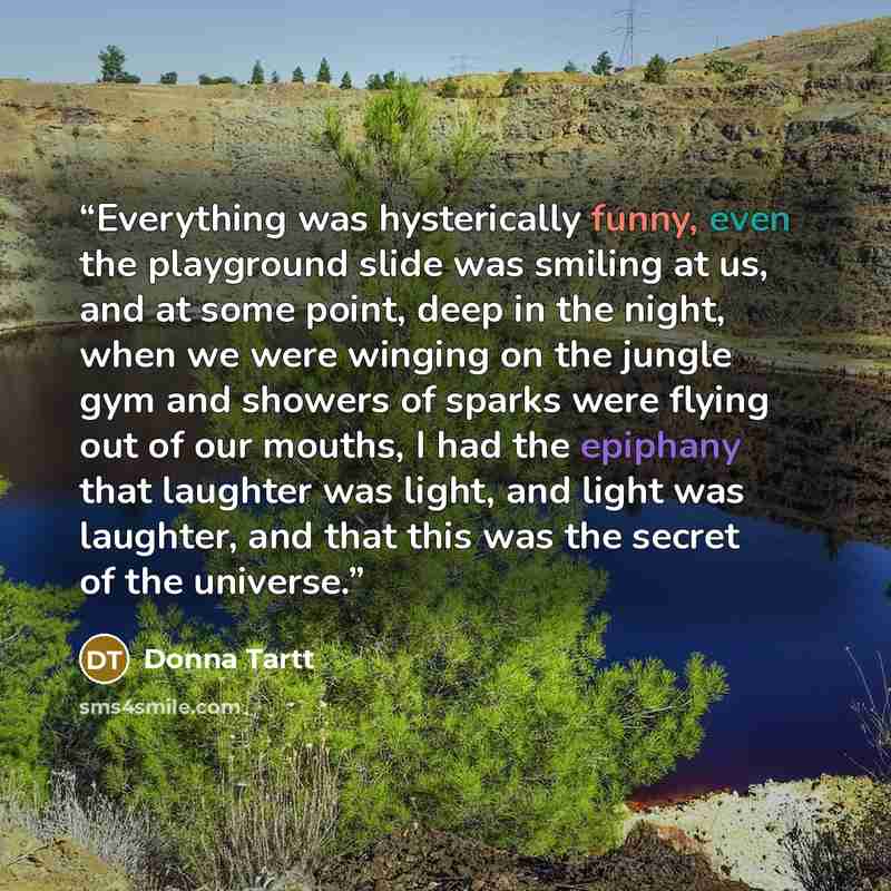 “Everything was hysterically funny, even the playground slide was smiling at us, and at some point, deep in the night, when we were winging on the jungle gym and showers of sparks were flying out of our mouths, I had the epiphany that laughter was light, and light was laughter, and that this was…” quote by Donna Tartt