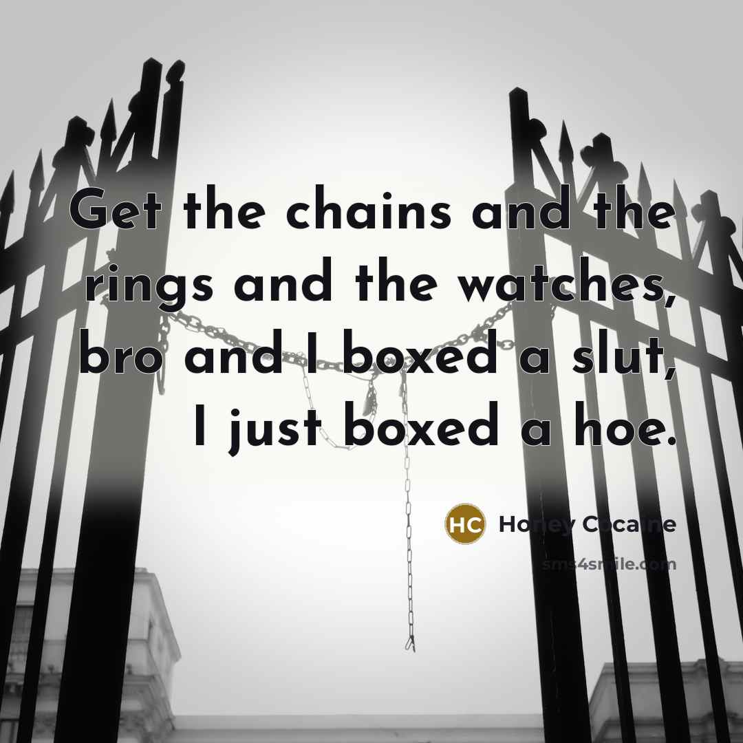 “Get the chains and the rings and the watches, bro and I boxed a slut, I just boxed a hoe.” quote by Honey Cocaine