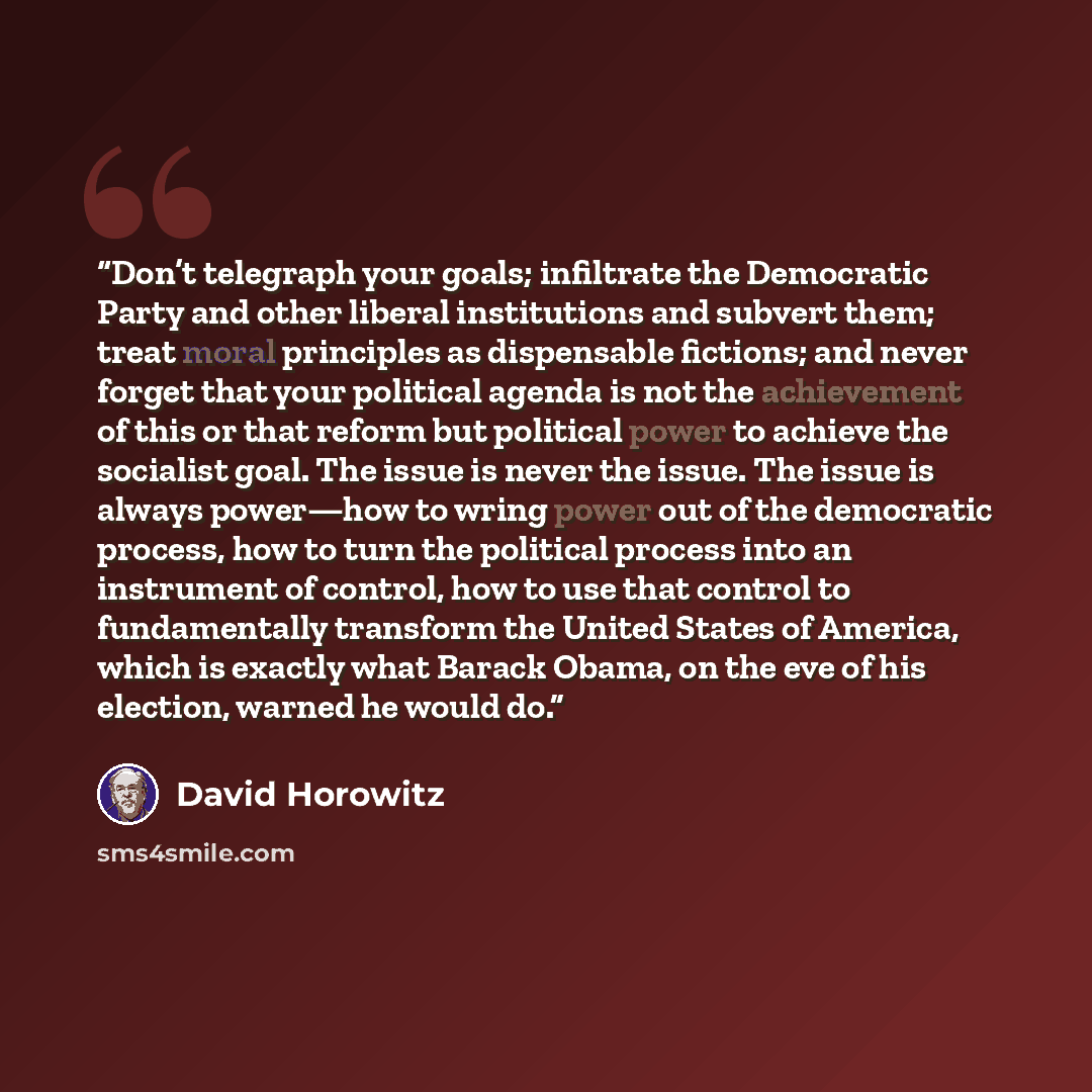 “Don’t telegraph your goals; infiltrate the Democratic Party and other liberal institutions and subvert them; treat moral principles as dispensable fictions; and never forget that your political agenda is not the achievement of this or that reform but political power to achieve the socialist goal…” quote by David Horowitz