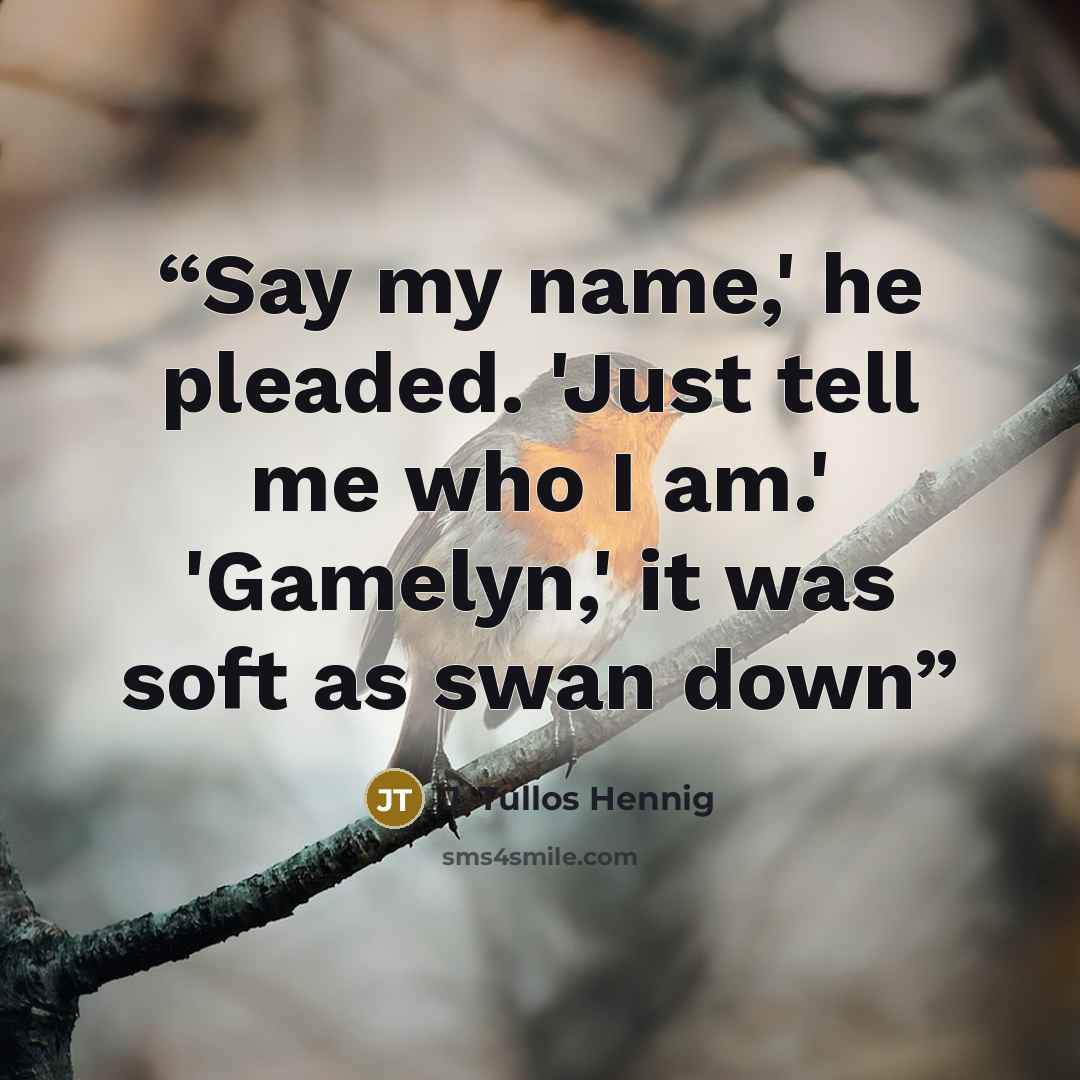 “Say my name,' he pleaded. 'Just tell me who I am.' 'Gamelyn,' it was soft as swan down” quote by J. Tullos Hennig