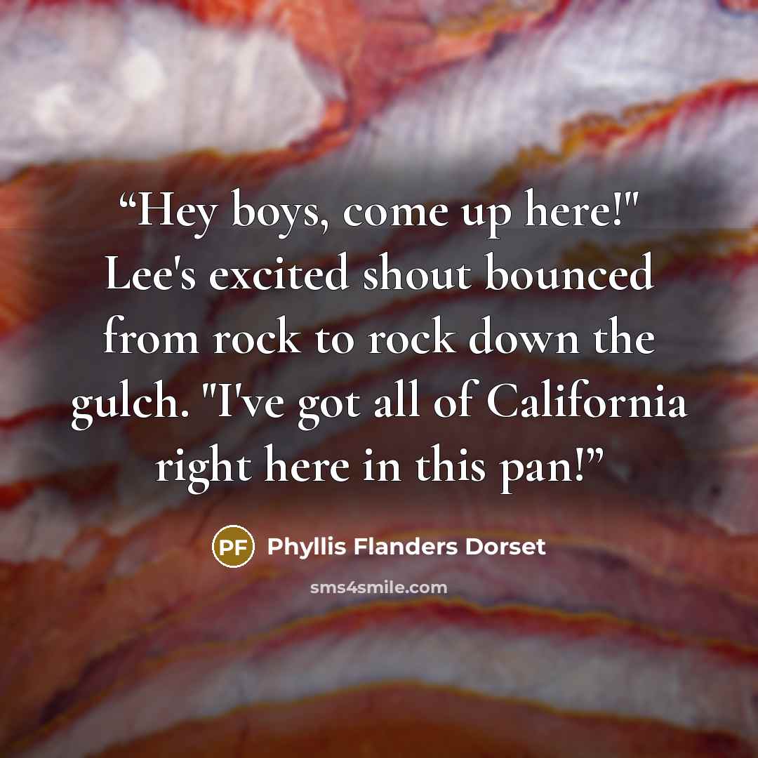 “Hey boys, come up here!" Lee's excited shout bounced from rock to rock down the gulch. "I've got all of California right here in this pan!” quote by Phyllis Flanders Dorset