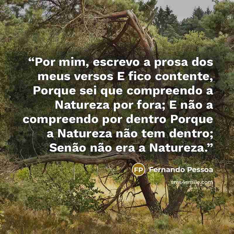 “Por mim, escrevo a prosa dos meus versos E fico contente, Porque sei que compreendo a Natureza por fora; E não a compreendo por dentro Porque a Natureza não tem dentro; Senão não era a Natureza.” quote by Fernando Pessoa