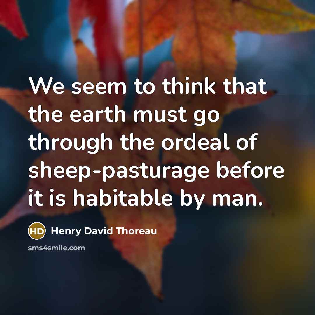 “We seem to think that the earth must go through the ordeal of sheep-pasturage before it is habitable by man.” quote by Henry David Thoreau