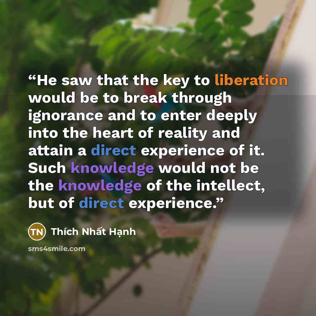 “He saw that the key to liberation would be to break through ignorance and to enter deeply into the heart of reality and attain a direct experience of it. Such knowledge would not be the knowledge of the intellect, but of direct experience.” quote by Thich Nhat Hanh