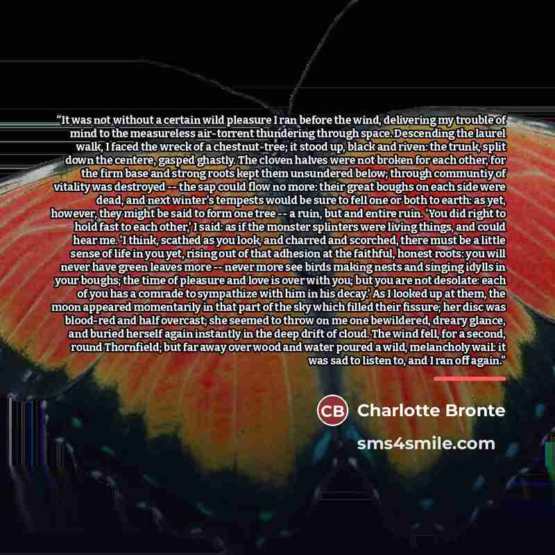 “It was not without a certain wild pleasure I ran before the wind, delivering my trouble of mind to the measureless air-torrent thundering through space. Descending the laurel walk, I faced the wreck of a chestnut-tree; it stood up, black and riven: the trunk, split down the centere, gasped…” quote by Charlotte Brontë