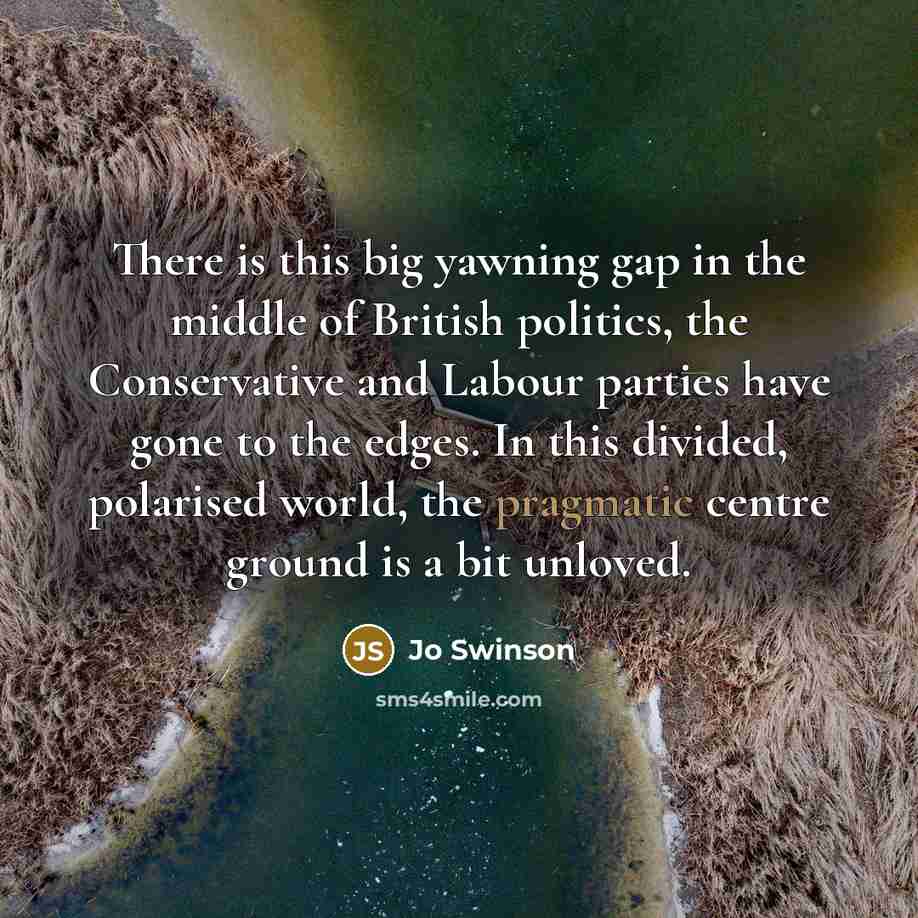 “There is this big yawning gap in the middle of British politics, the Conservative and Labour parties have gone to the edges. In this divided, polarised world, the pragmatic centre ground is a bit unloved.” quote by Jo Swinson