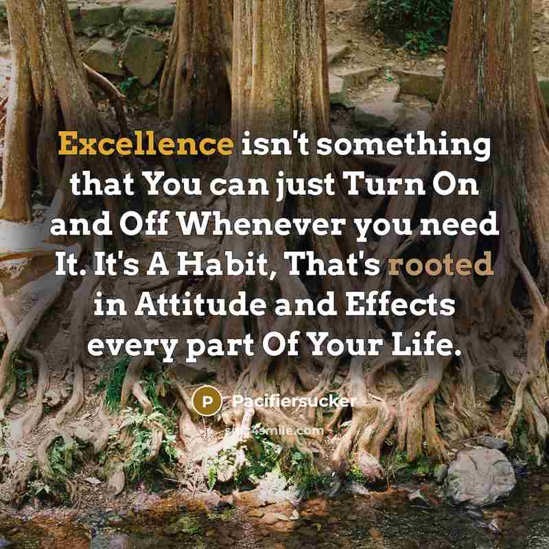 “Excellence isn't something that You can just Turn On and Off Whenever you need It. It's A Habit, That's rooted in Attitude and Effects every part Of Your Life.” quote by Pacifiersucker