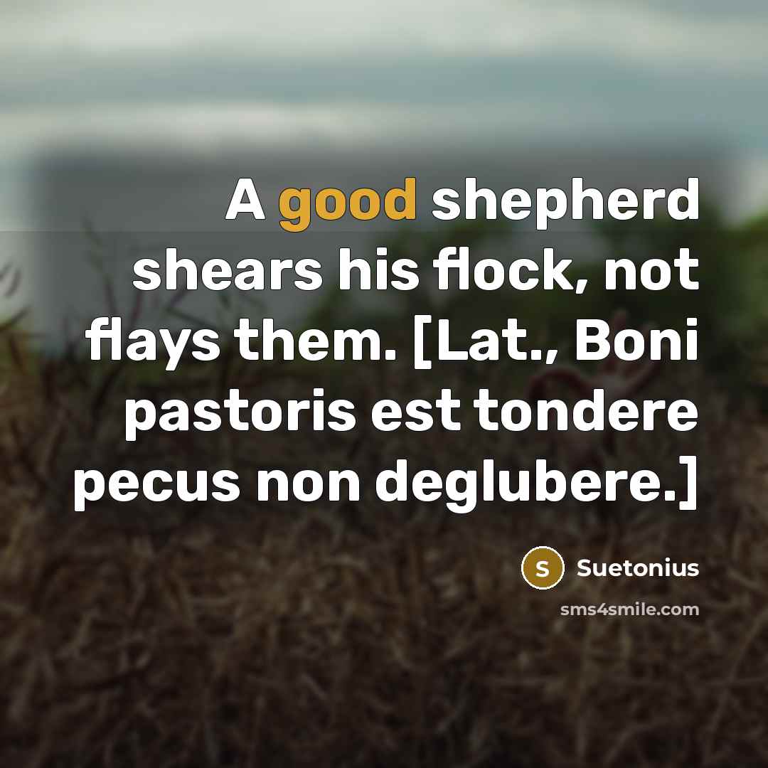 “A good shepherd shears his flock, not flays them. [Lat., Boni pastoris est tondere pecus non deglubere.]” quote by Suetonius