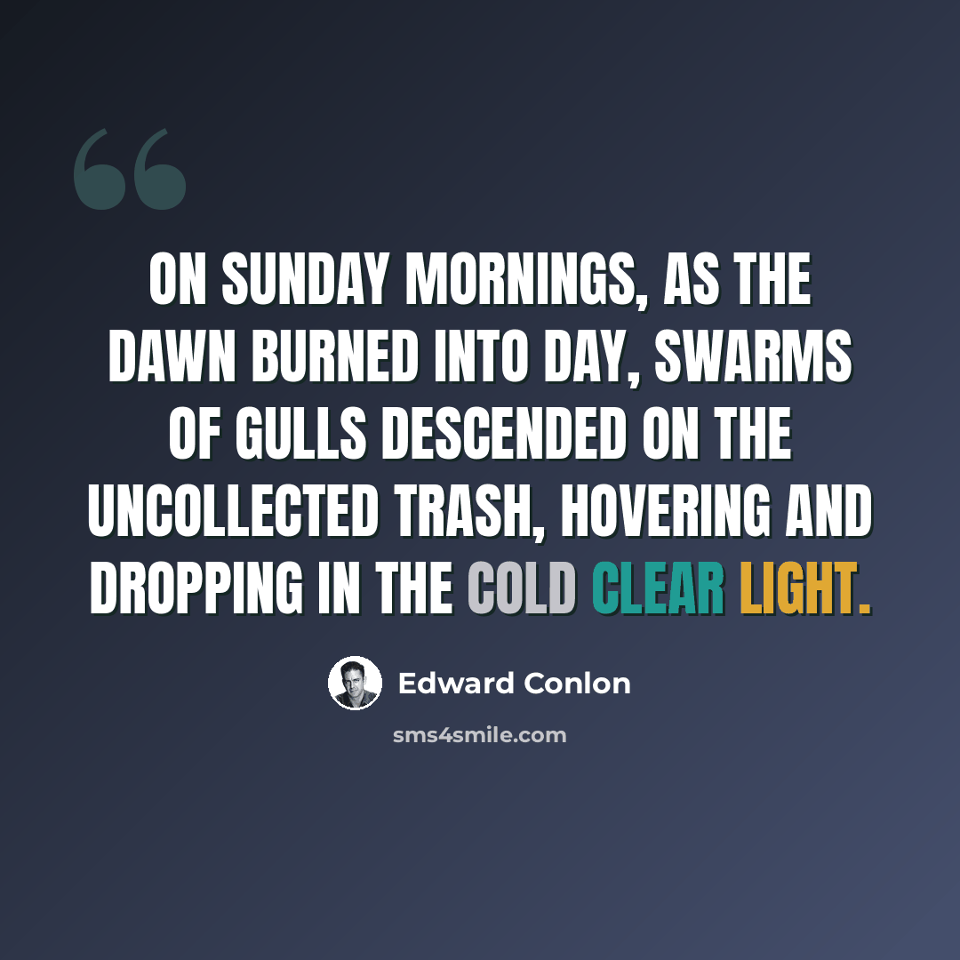 “On Sunday mornings, as the dawn burned into day, swarms of gulls descended on the uncollected trash, hovering and dropping in the cold clear light.” quote by Edward Conlon