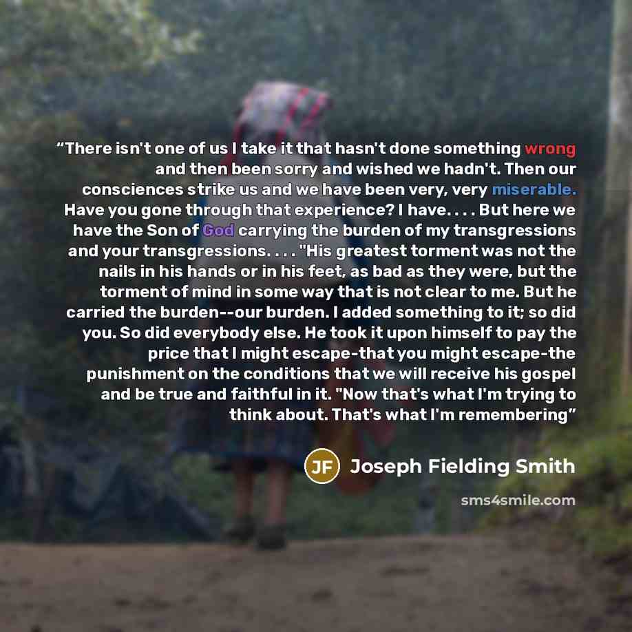 “There isn't one of us I take it that hasn't done something wrong and then been sorry and wished we hadn't. Then our consciences strike us and we have been very, very miserable. Have you gone through that experience? I have. . . . But here we have the Son of God carrying the burden of my…” quote by Joseph Fielding Smith