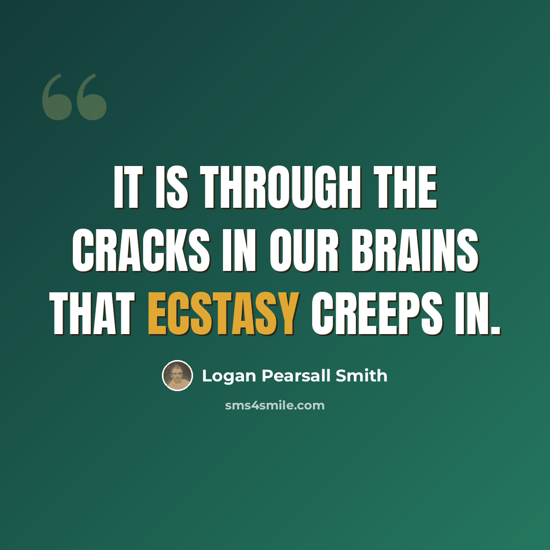 “It is through the cracks in our brains that ecstasy creeps in.” quote by Logan Pearsall Smith