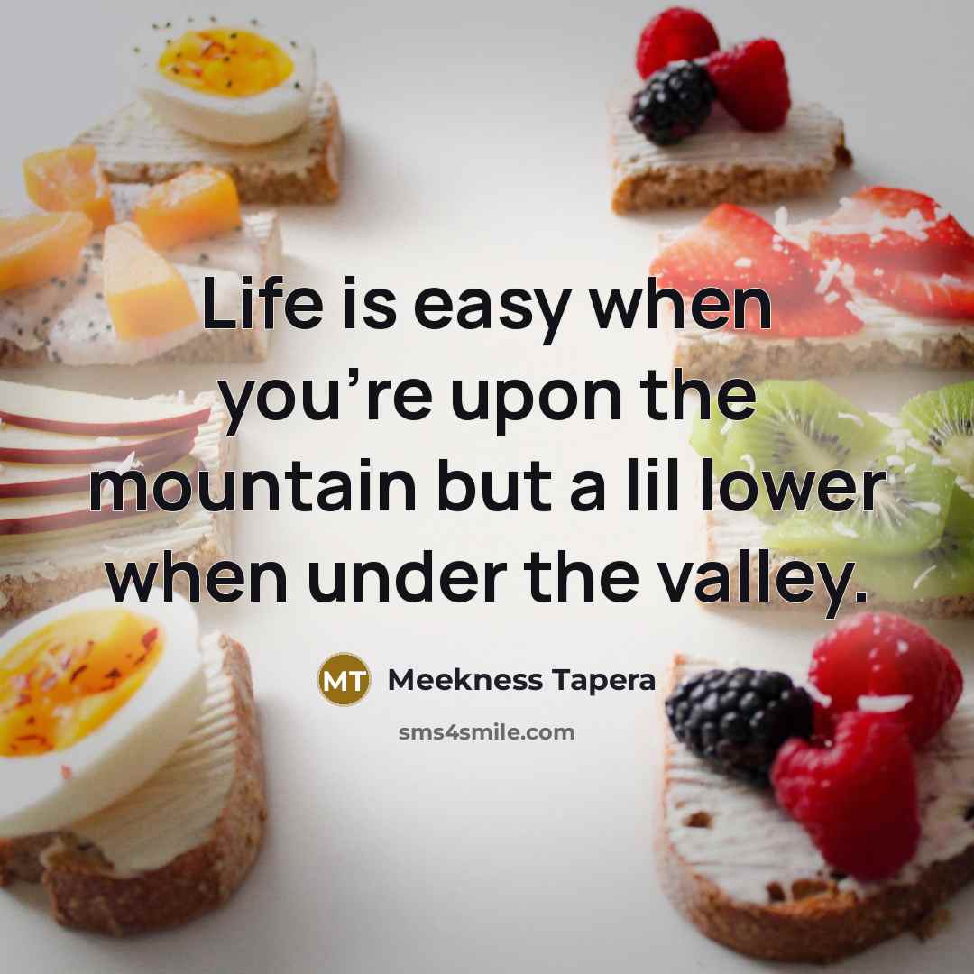 “Life is easy when you're upon the mountain but a lil lower when under the valley.” quote by Meekness Tapera