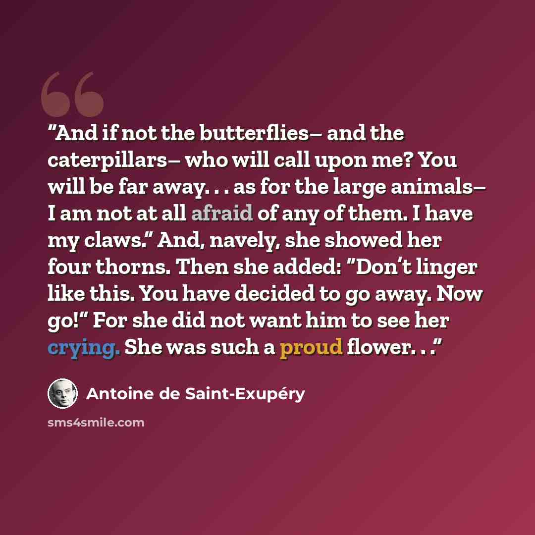 “And if not the butterﬂies– and the caterpillars– who will call upon me? You will be far away. . . as for the large animals– I am not at all afraid of any of them. I have my claws.” And, navely, she showed her four thorns. Then she added: “Don’t linger like this. You have decided to go away. Now…” quote by Antoine de Saint-Exupéry