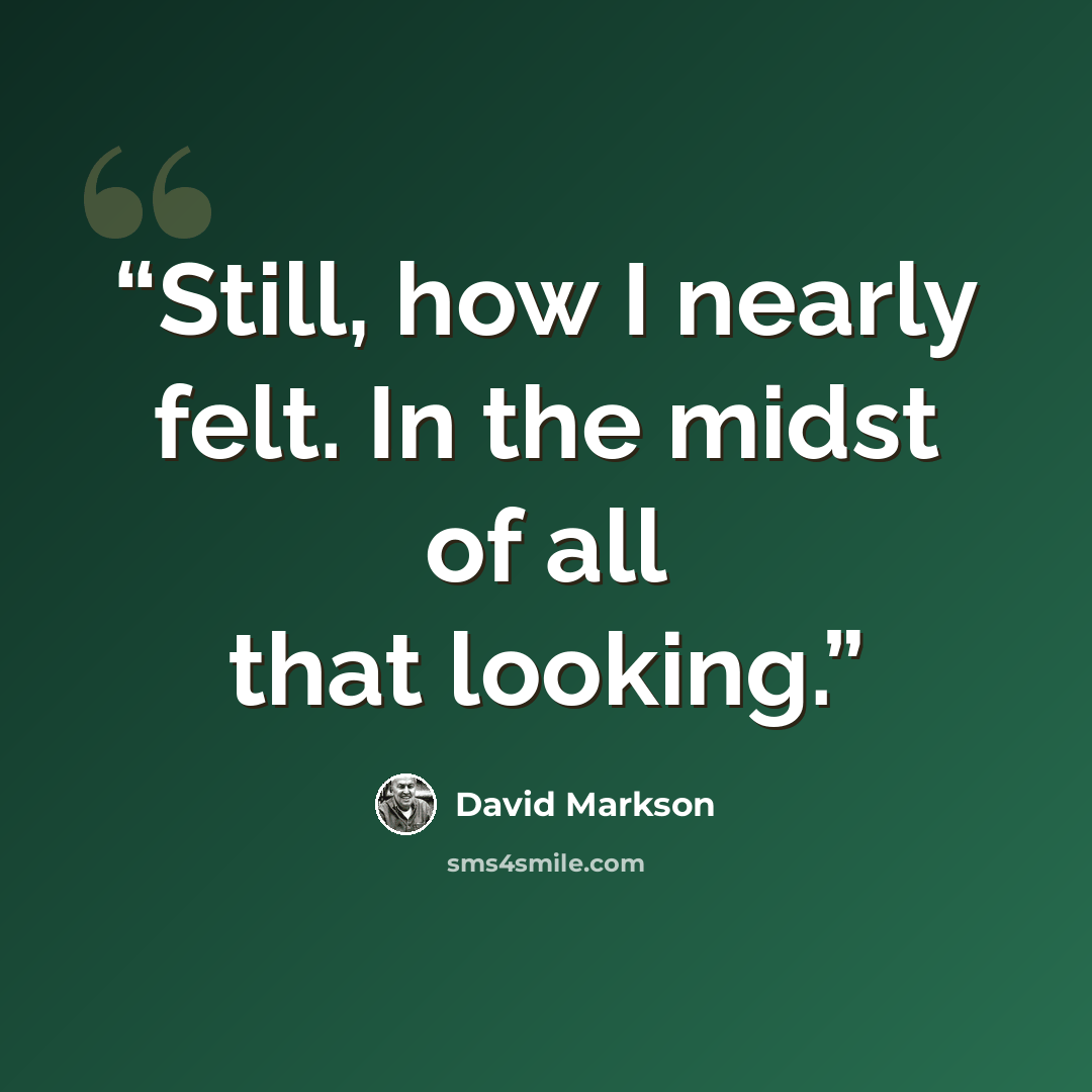 “Still, how I nearly felt. In the midst of all that looking.” quote by David Markson