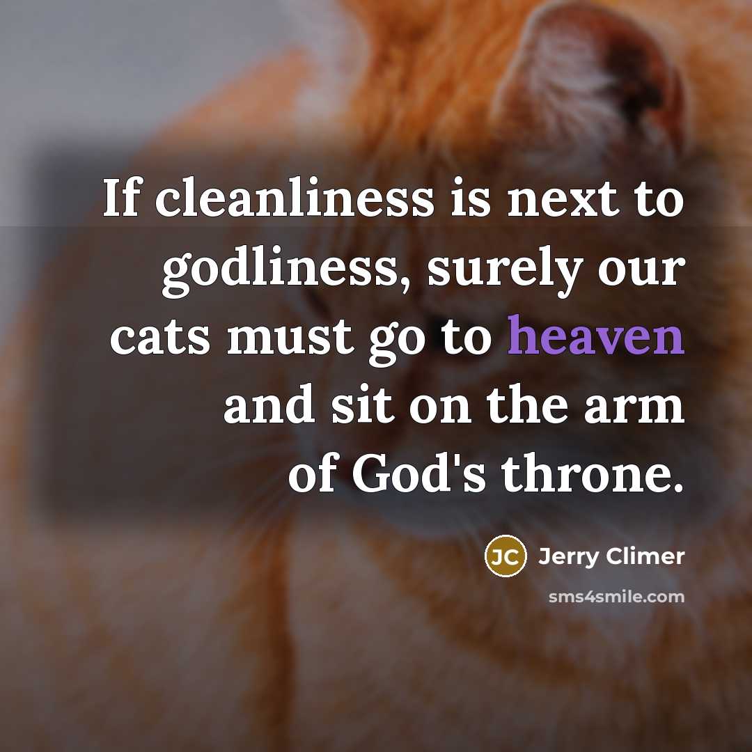 “If cleanliness is next to godliness, surely our cats must go to heaven and sit on the arm of God's throne.” quote by Jerry Climer