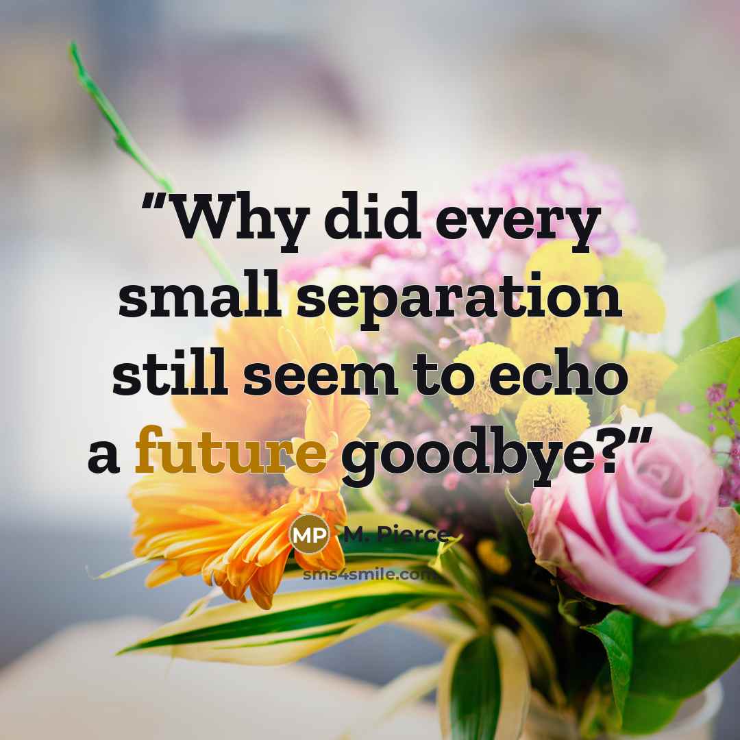 “Why did every small separation still seem to echo a future goodbye?” quote by M. Pierce