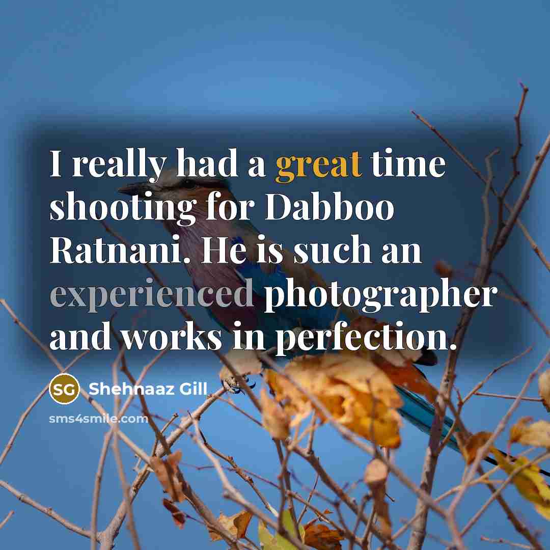 “I really had a great time shooting for Dabboo Ratnani. He is such an experienced photographer and works in perfection.” quote by Shehnaaz Gill