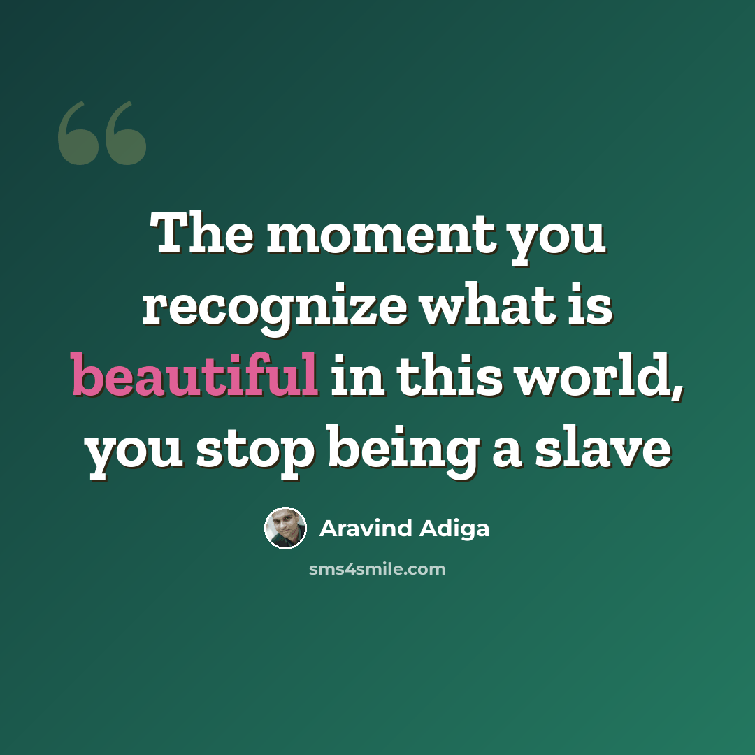 “The moment you recognize what is beautiful in this world, you stop being a slave” quote by Aravind Adiga