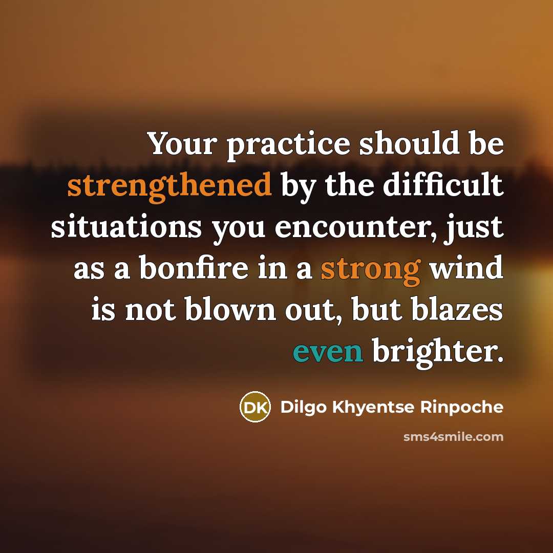 “Your practice should be strengthened by the difficult situations you encounter, just as a bonfire in a strong wind is not blown out, but blazes even brighter.” quote by Dilgo Khyentse Rinpoche