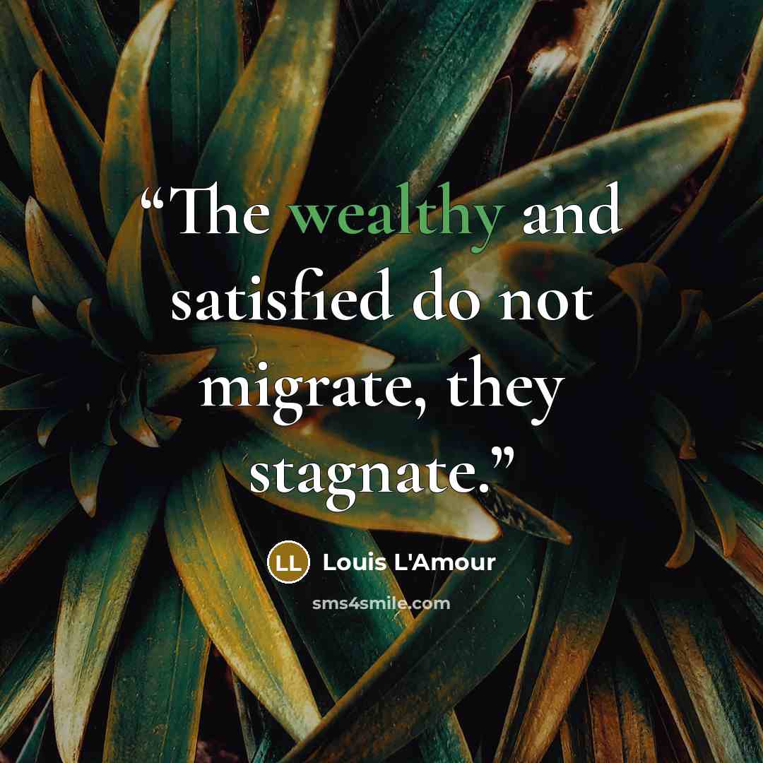 “The wealthy and satisfied do not migrate, they stagnate.” quote by Louis L'Amour