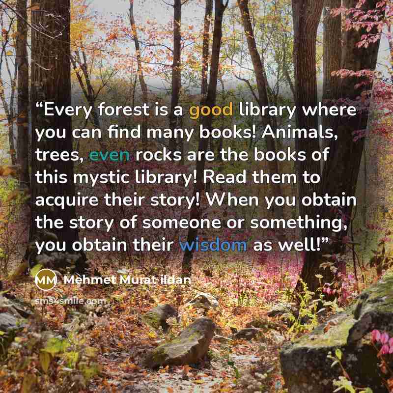 “Every forest is a good library where you can find many books! Animals, trees, even rocks are the books of this mystic library! Read them to acquire their story! When you obtain the story of someone or something, you obtain their wisdom as well!” quote by Mehmet Murat ildan