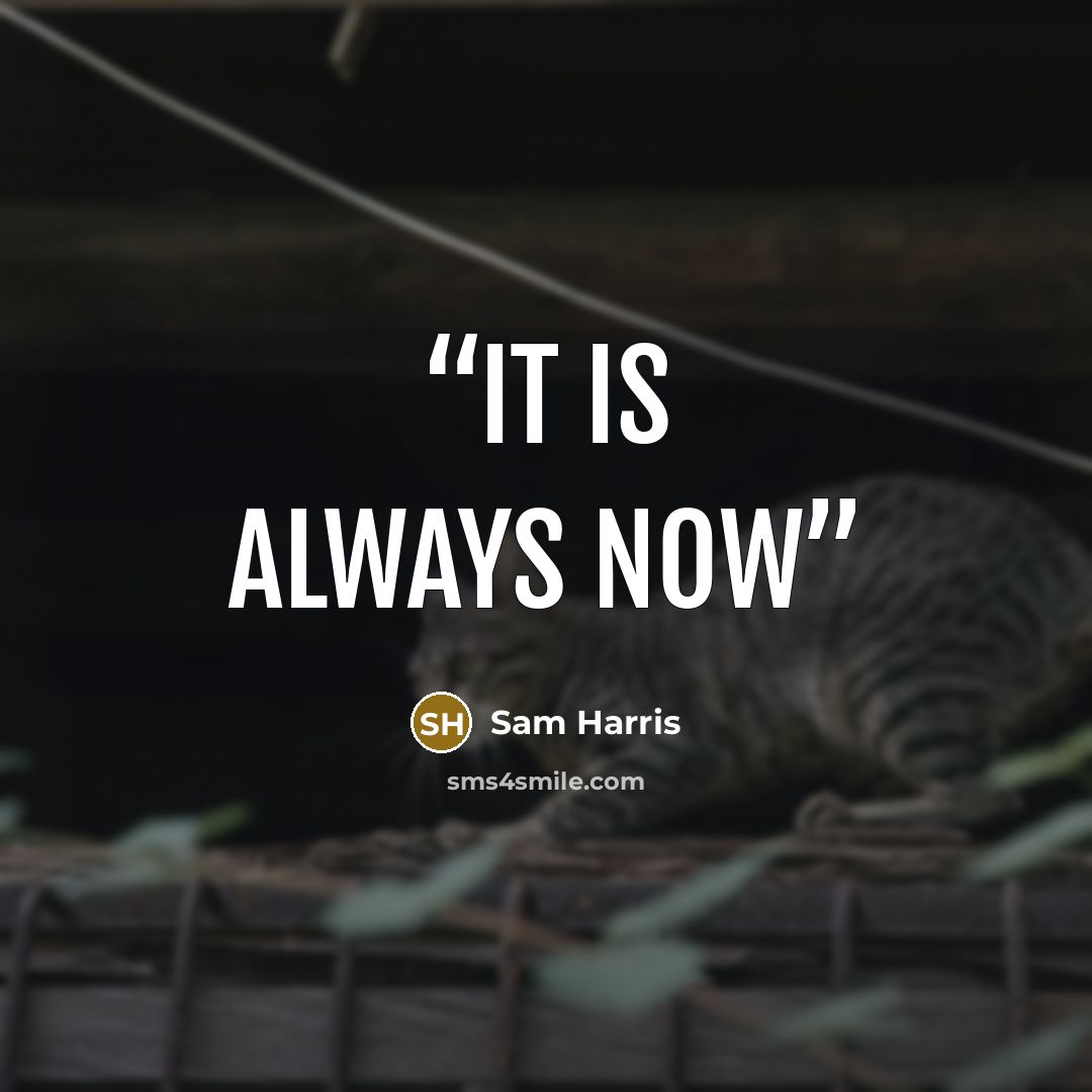 “It is always now” quote by Sam Harris