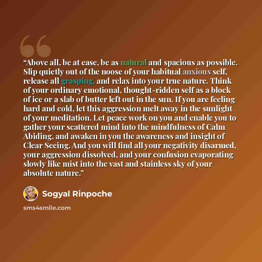 “Above all, be at ease, be as natural and spacious as possible. Slip quietly out of the noose of your habitual anxious self, release all grasping, and relax into your true nature. Think of your ordinary emotional, thought-ridden self as a block of ice or a slab of butter left out in the sun. If you…” quote by Sogyal Rinpoche