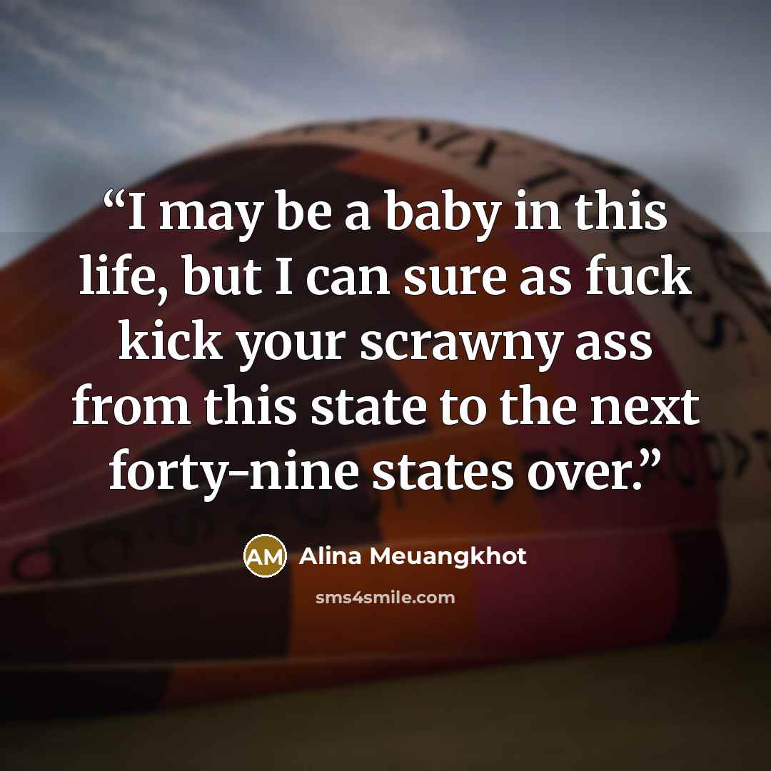 “I may be a baby in this life, but I can sure as fuck kick your scrawny ass from this state to the next forty-nine states over.” quote by Alina Meuangkhot