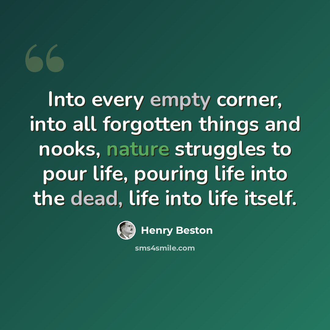 “Into every empty corner, into all forgotten things and nooks, nature struggles to pour life, pouring life into the dead, life into life itself.” quote by Henry Beston