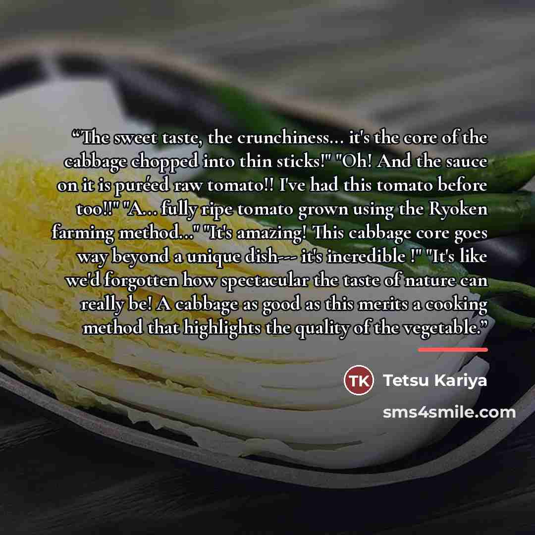“The sweet taste, the crunchiness... it's the core of the cabbage chopped into thin sticks!" "Oh! And the sauce on it is puréed raw tomato!! I've had this tomato before too!!" "A... fully ripe tomato grown using the Ryoken farming method..." "It's amazing! This cabbage core goes way beyond a unique…” quote by Tetsu Kariya