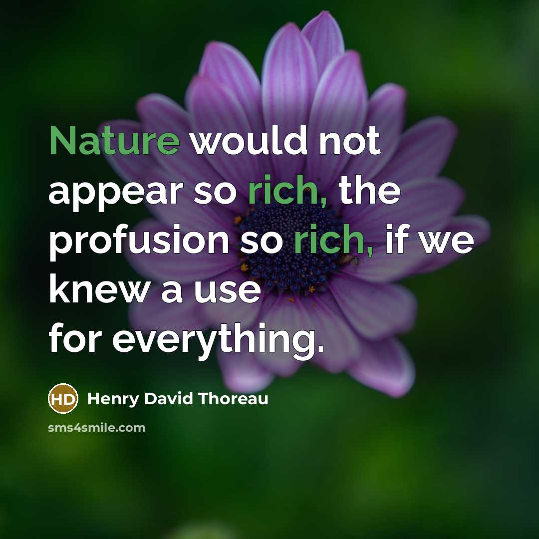 “Nature would not appear so rich, the profusion so rich, if we knew a use for everything.” quote by Henry David Thoreau