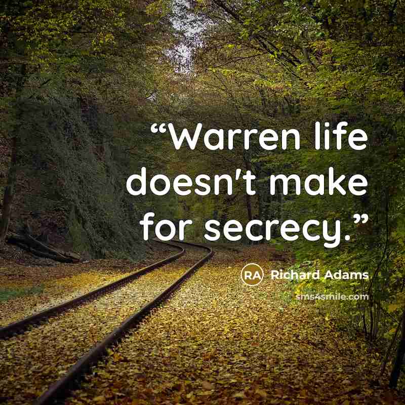“Warren life doesn't make for secrecy.” quote by Richard Adams