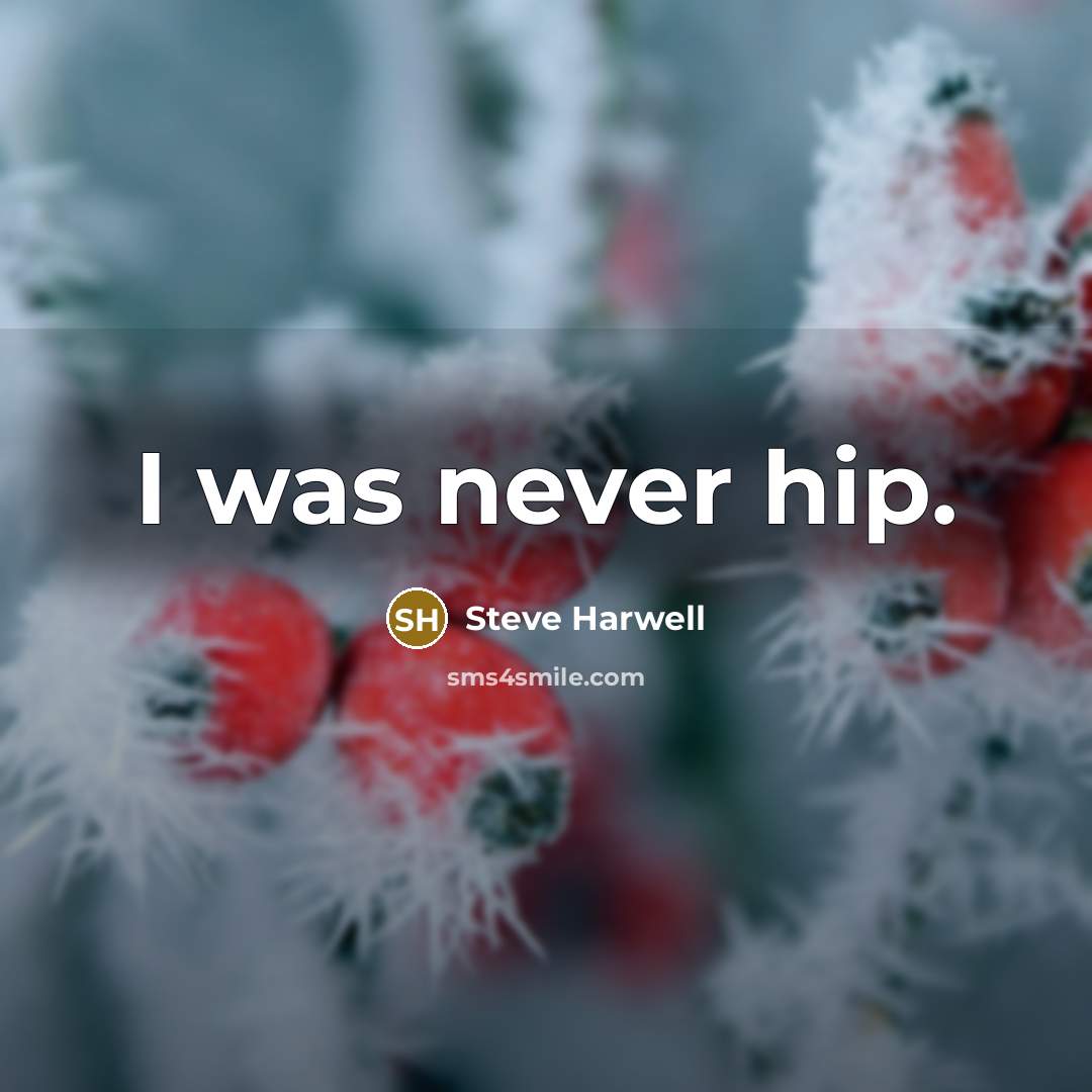 “I was never hip.” quote by Steve Harwell