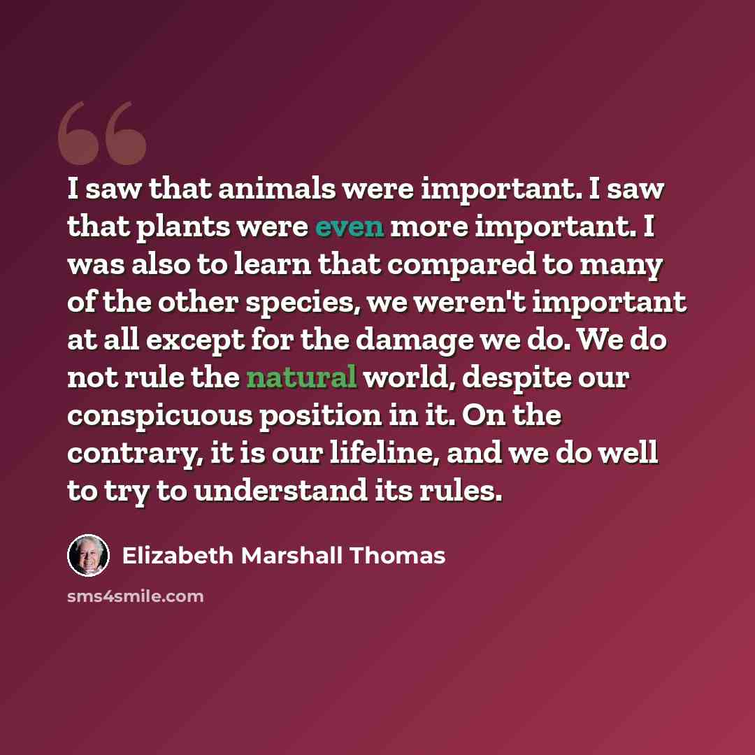 “I saw that animals were important. I saw that plants were even more important. I was also to learn that compared to many of the other species, we weren't important at all except for the damage we do. We do not rule the natural world, despite our conspicuous position in it. On the contrary, it is…” quote by Elizabeth Marshall Thomas
