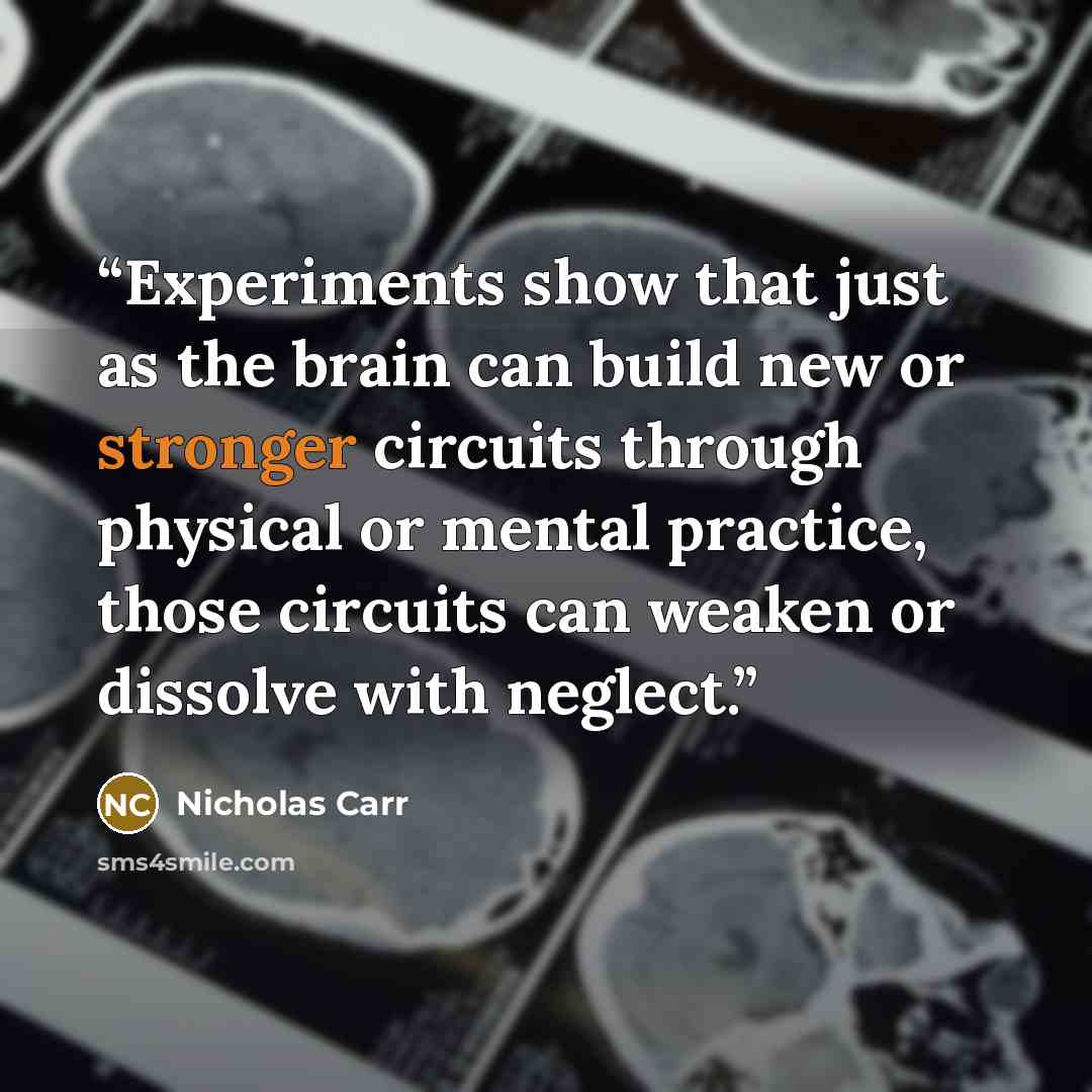 “Experiments show that just as the brain can build new or stronger circuits through physical or mental practice, those circuits can weaken or dissolve with neglect.” quote by Nicholas Carr