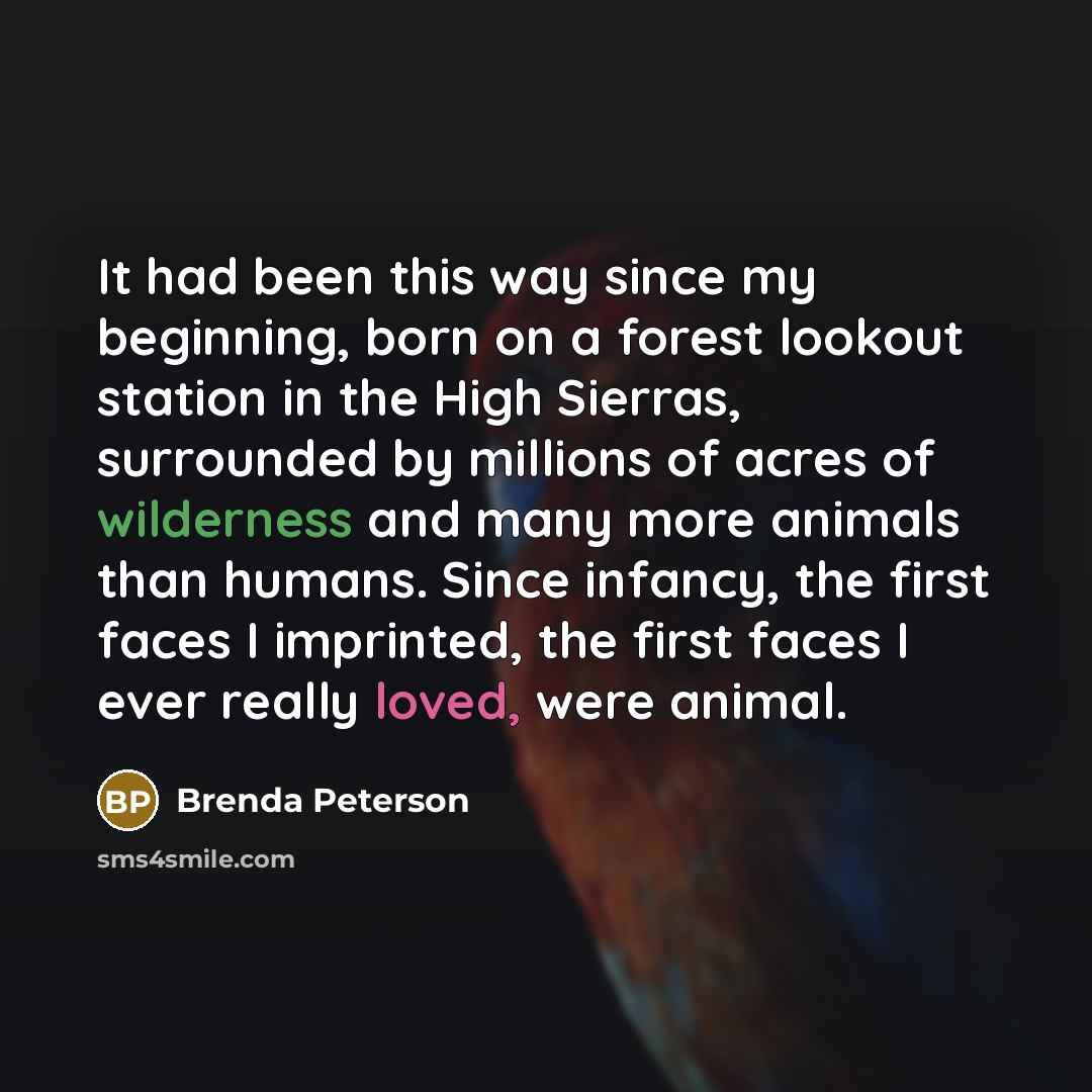 “It had been this way since my beginning, born on a forest lookout station in the High Sierras, surrounded by millions of acres of wilderness and many more animals than humans. Since infancy, the first faces I imprinted, the first faces I ever really loved, were animal.” quote by Brenda Peterson