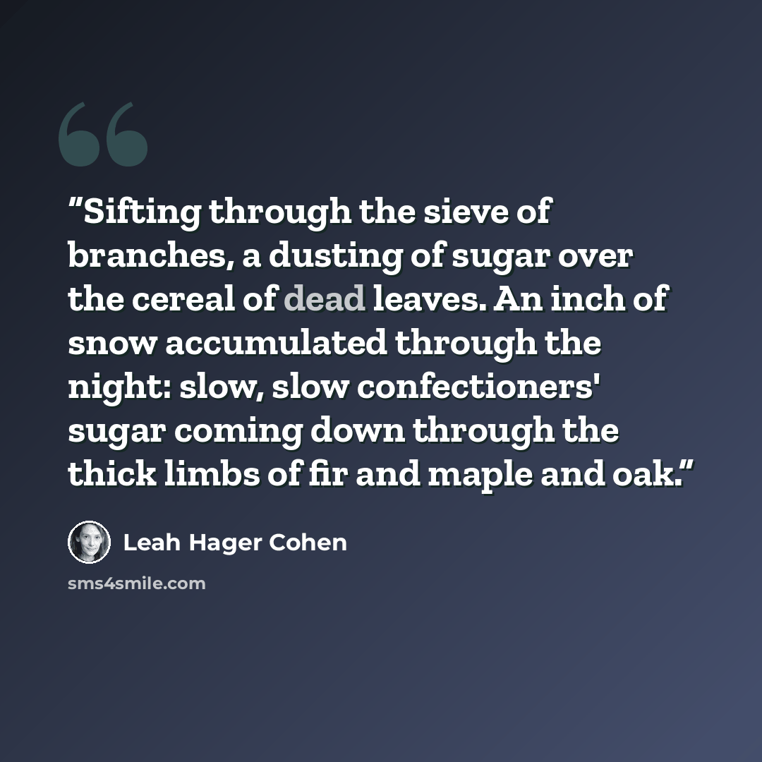 “Sifting through the sieve of branches, a dusting of sugar over the cereal of dead leaves. An inch of snow accumulated through the night: slow, slow confectioners' sugar coming down through the thick limbs of fir and maple and oak.” quote by Leah Hager Cohen