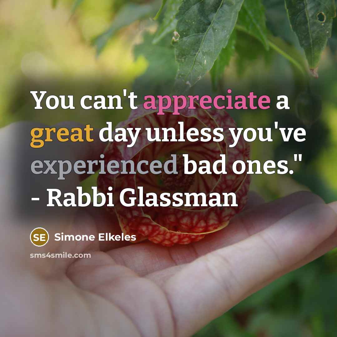 “You can't appreciate a great day unless you've experienced bad ones." - Rabbi Glassman” quote by Simone Elkeles