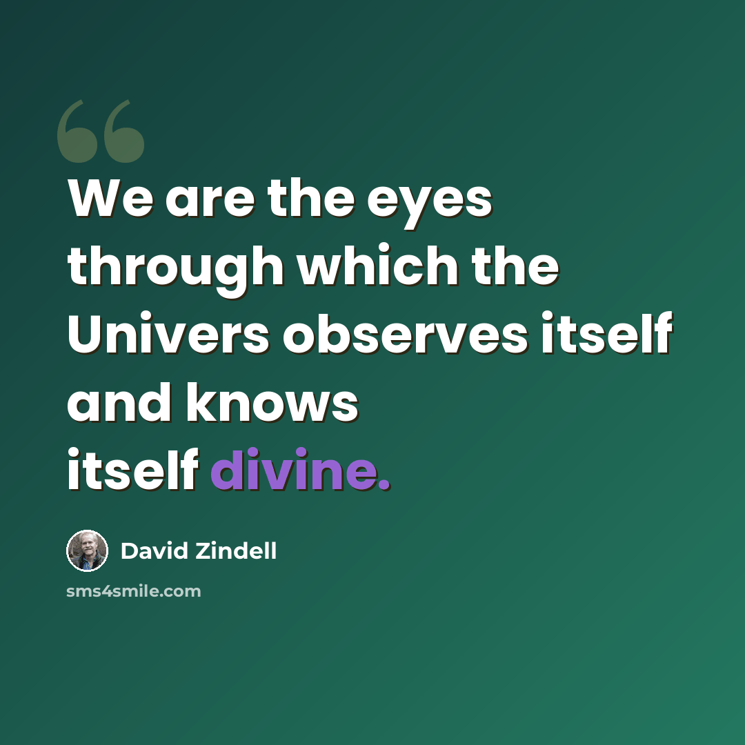 “We are the eyes through which the Univers observes itself and knows itself divine.” quote by David Zindell