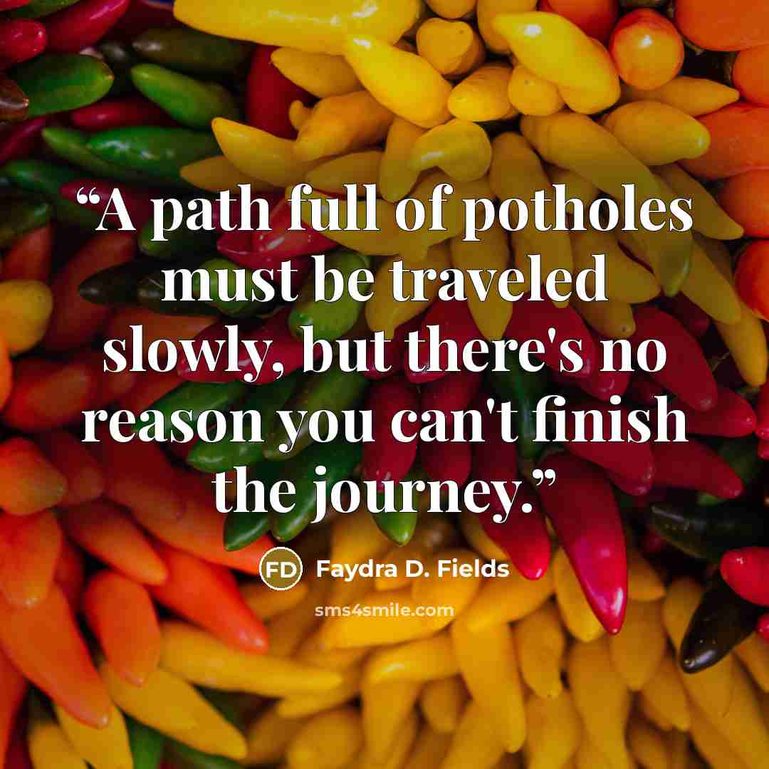 “A path full of potholes must be traveled slowly, but there's no reason you can't finish the journey.” quote by Faydra D. Fields