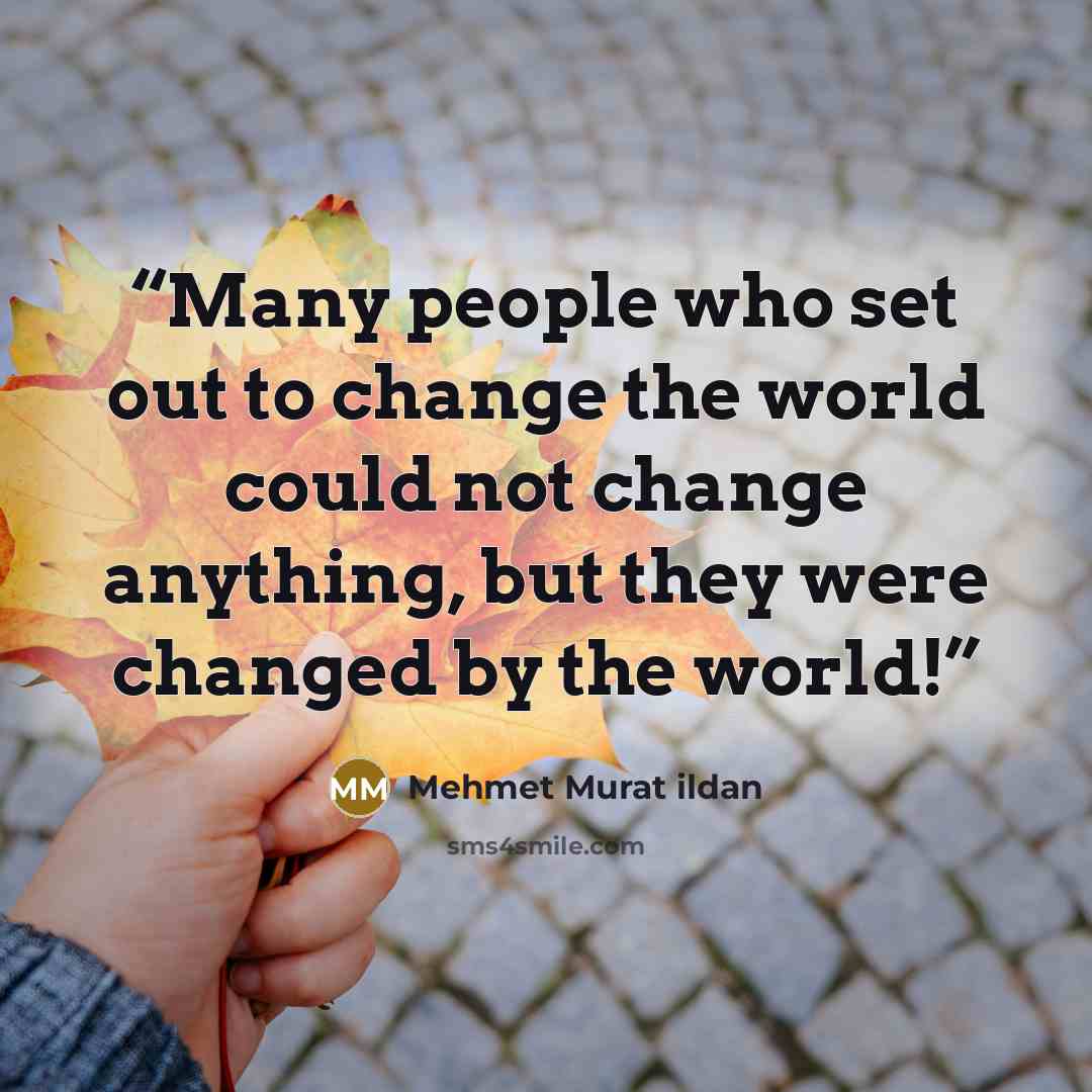 “Many people who set out to change the world could not change anything, but they were changed by the world!” quote by Mehmet Murat ildan