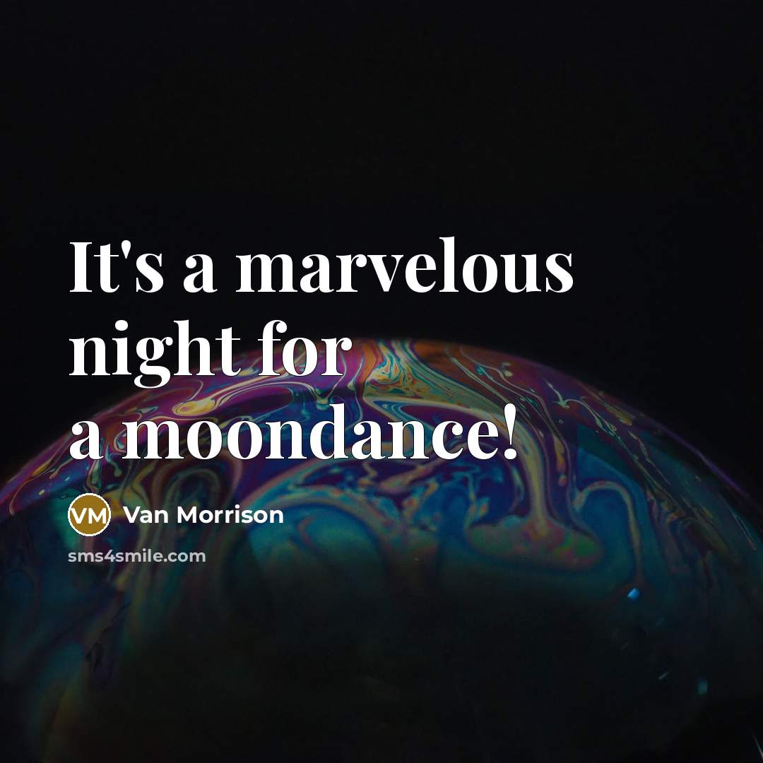“It's a marvelous night for a moondance!” quote by Van Morrison