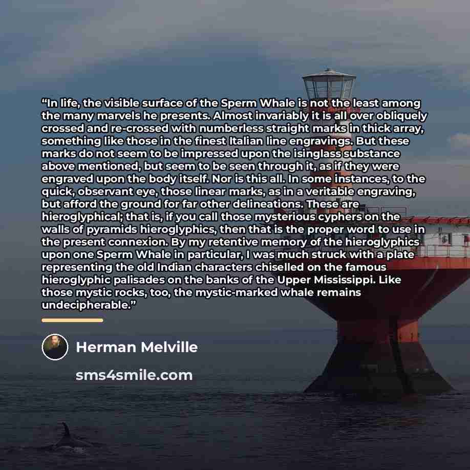 “In life, the visible surface of the Sperm Whale is not the least among the many marvels he presents. Almost invariably it is all over obliquely crossed and re-crossed with numberless straight marks in thick array, something like those in the finest Italian line engravings. But these marks do not…” quote by Herman Melville