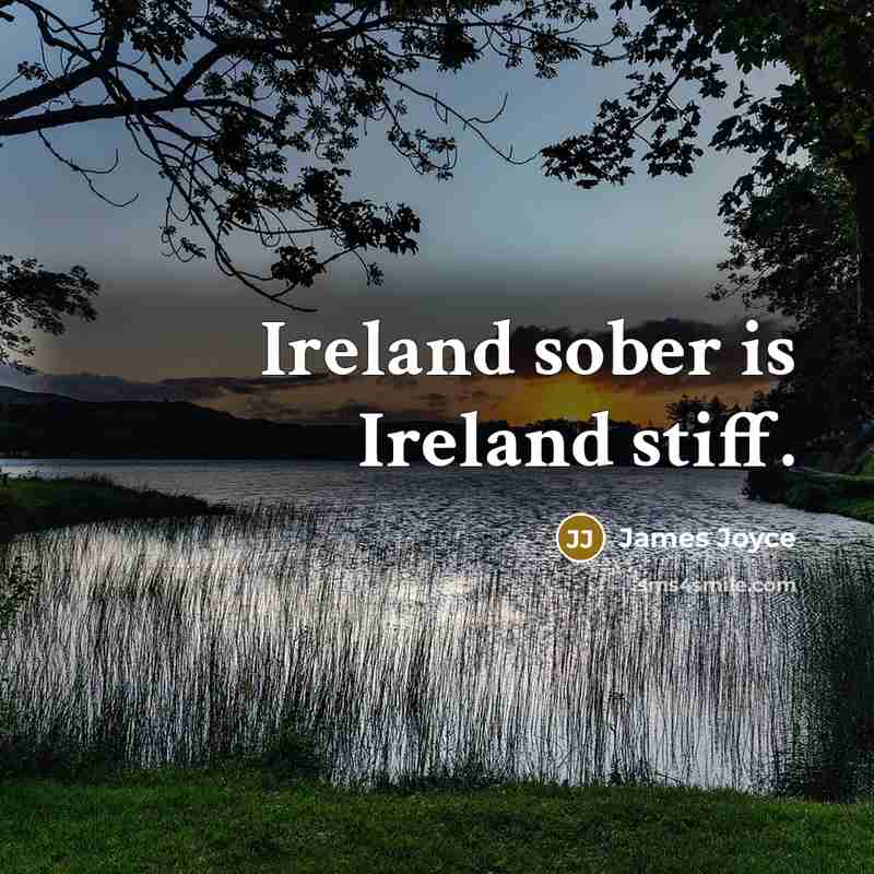 “Ireland sober is Ireland stiff.” quote by James Joyce