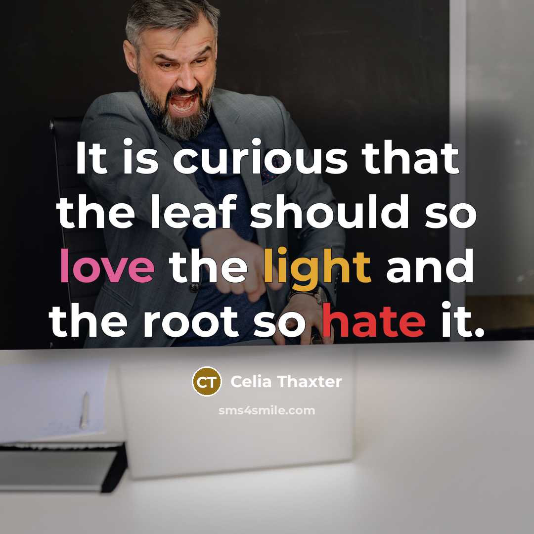 “It is curious that the leaf should so love the light and the root so hate it.” quote by Celia Thaxter