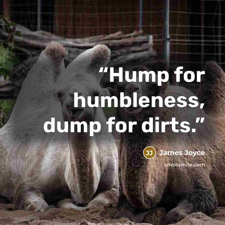 “Hump for humbleness, dump for dirts.” quote by James Joyce
