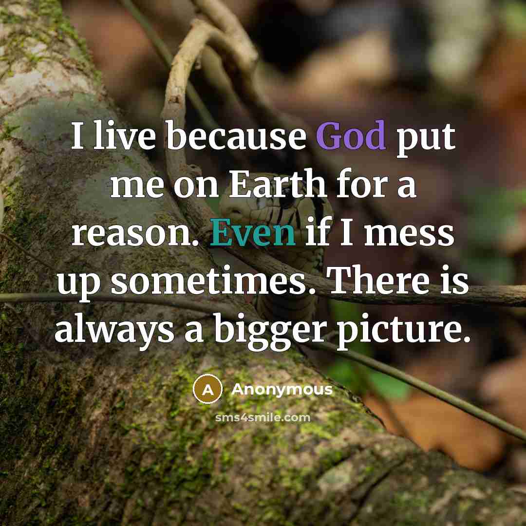 “I live because God put me on Earth for a reason. Even if I mess up sometimes. There is always a bigger picture.” quote by Anonymous