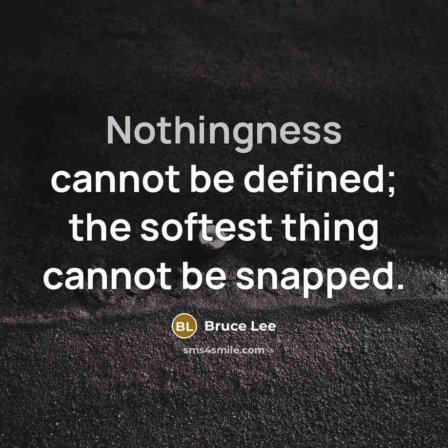 “Nothingness cannot be defined; the softest thing cannot be snapped.” quote by Bruce Lee